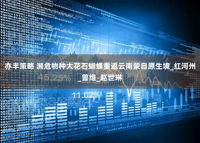 亦丰策略 濒危物种大花石蝴蝶重返云南蒙自原生境_红河州_曾维_赵世琳