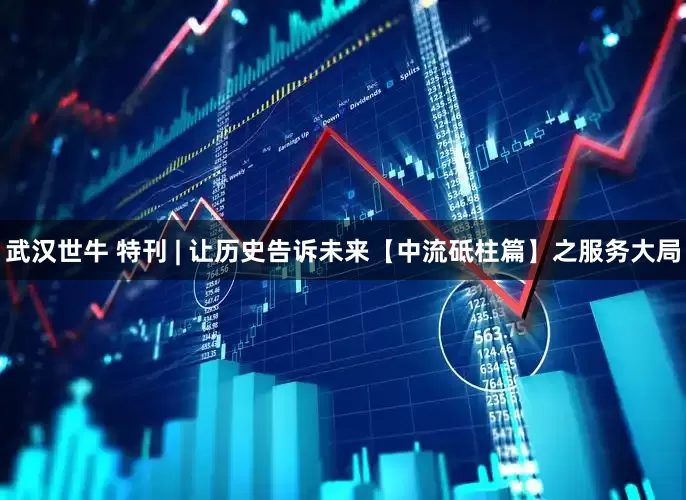 武汉世牛 特刊 | 让历史告诉未来【中流砥柱篇】之服务大局