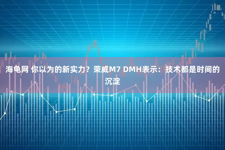 海龟网 你以为的新实力？荣威M7 DMH表示：技术都是时间的沉淀