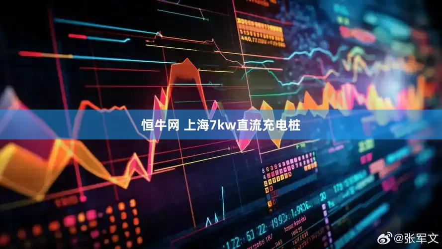 恒牛网 上海7kw直流充电桩